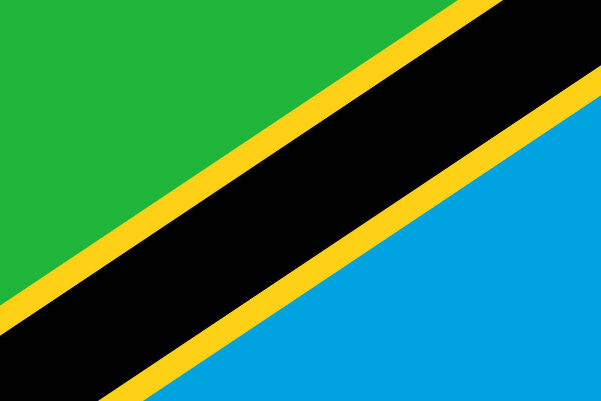 Tanzania 桌布 壁紙 — 一面大膽的旗幟，帶有綠色、藍色和黑色對角條紋，邊緣有黃色線條。