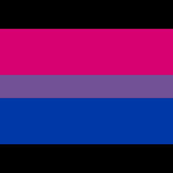 Bisexual 桌布 壁紙 — 一面大膽的雙性戀旗幟，帶有三條水平條紋：洋紅色、薰衣草色和藍色，並以黑色邊框框住。