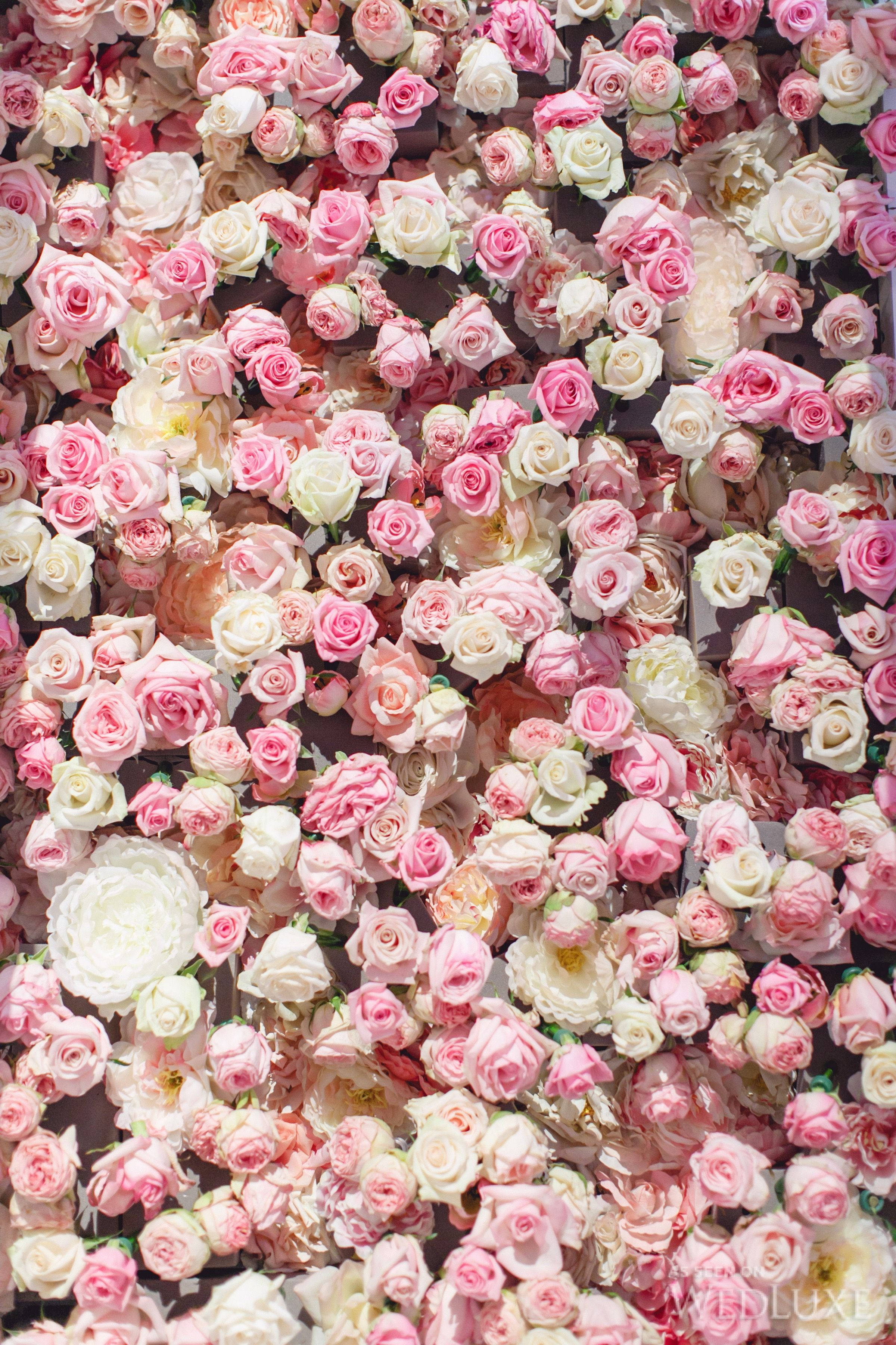Pink Vintage Aesthetic 桌布 壁紙 — 一面密集的牆壁覆蓋著柔和的粉紅色和白色玫瑰，營造出茂盛的浪漫花卉背景。