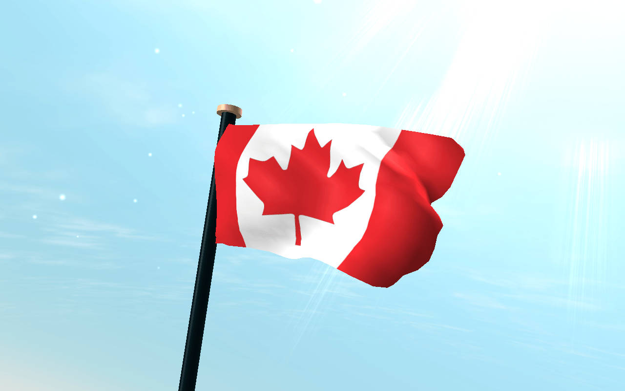 Canada Flag 桌布 壁紙 — 一面帶有紅色楓葉的加拿大國旗在晴朗藍天和陽光下自豪地飄揚。