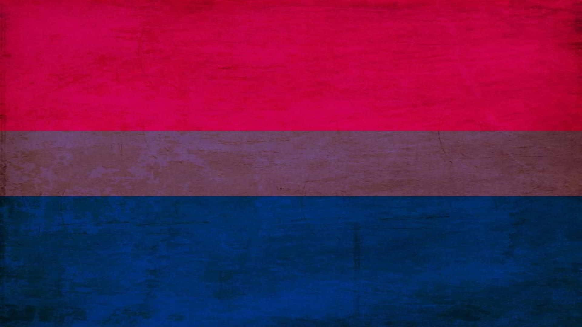 Bisexual Flag 桌布 壁紙 — 一面帶有紋理的旗幟，上面有三條紅色、粉紅色和藍色的橫條紋，呈現復古磨損風格。