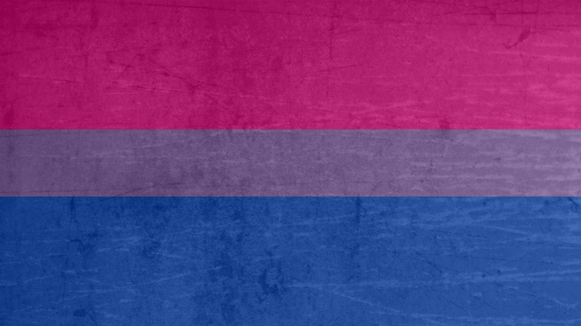 Bisexual Flag 桌布 壁紙 — 一面有紋理的雙性戀驕傲旗幟，帶有粉紅色、紫色和藍色橫條，顯示磨損痕跡。