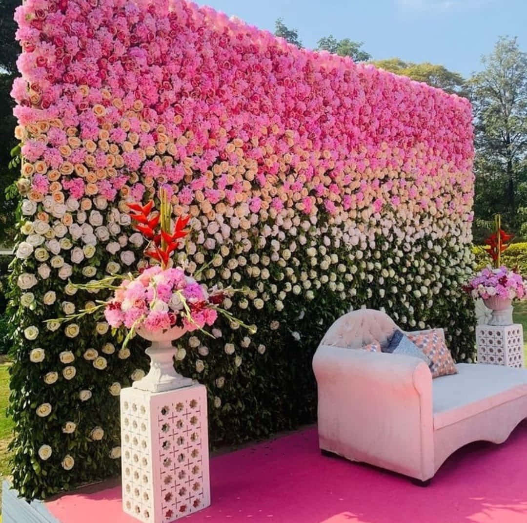 Garden Wedding 桌布 壁紙 — 一面由粉紅玫瑰和白色花朵組成的奢華花牆，襯托著粉紅色天鵝絨沙發和華麗的底座，背景是清澈的藍天。