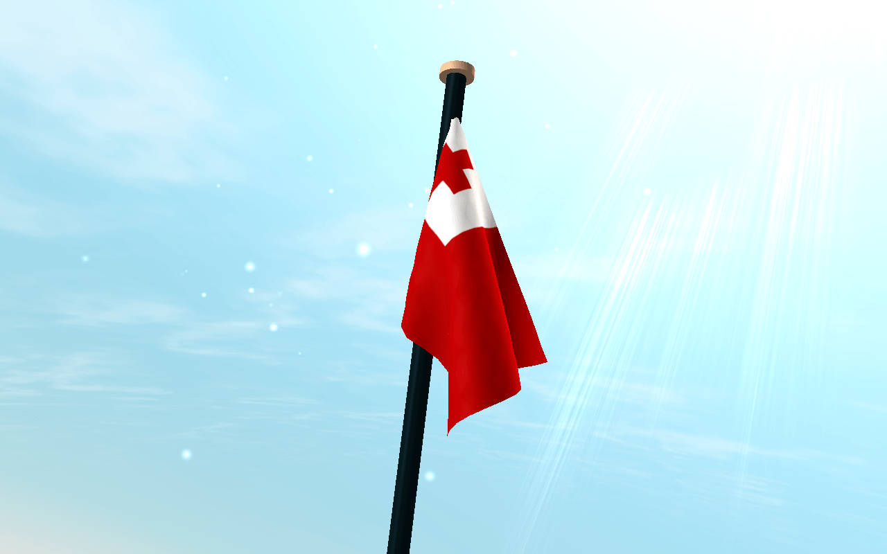 Flag 桌布 壁紙 — 一面紅白相間的加拿大國旗在黑色旗杆上飄揚，背景是明亮的藍天，帶有陽光和漂浮的粒子。