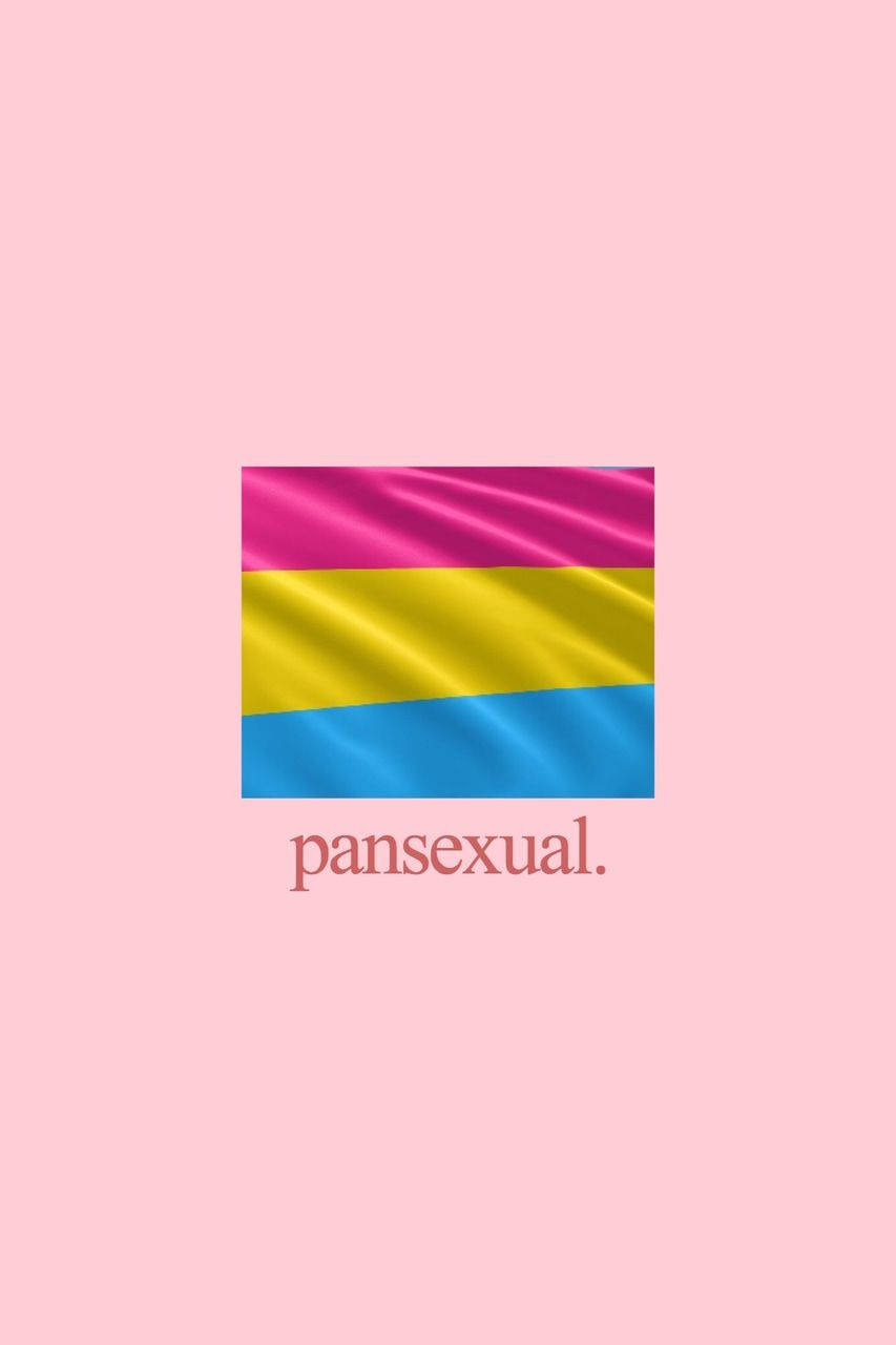 Pansexual 桌布 壁紙 — 一面緞面泛性戀旗，中央有粉紅、黃、藍條紋，置於柔和粉紅背景上，下方有「pansexual」字樣。
