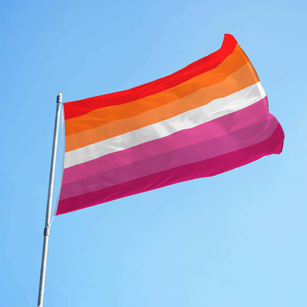 Lgbtq 桌布 壁紙 — 一面色彩鮮豔的泛性戀旗幟，帶有紅色、橙色、白色和粉紅色條紋，在晴朗的藍天下隨風飄揚。