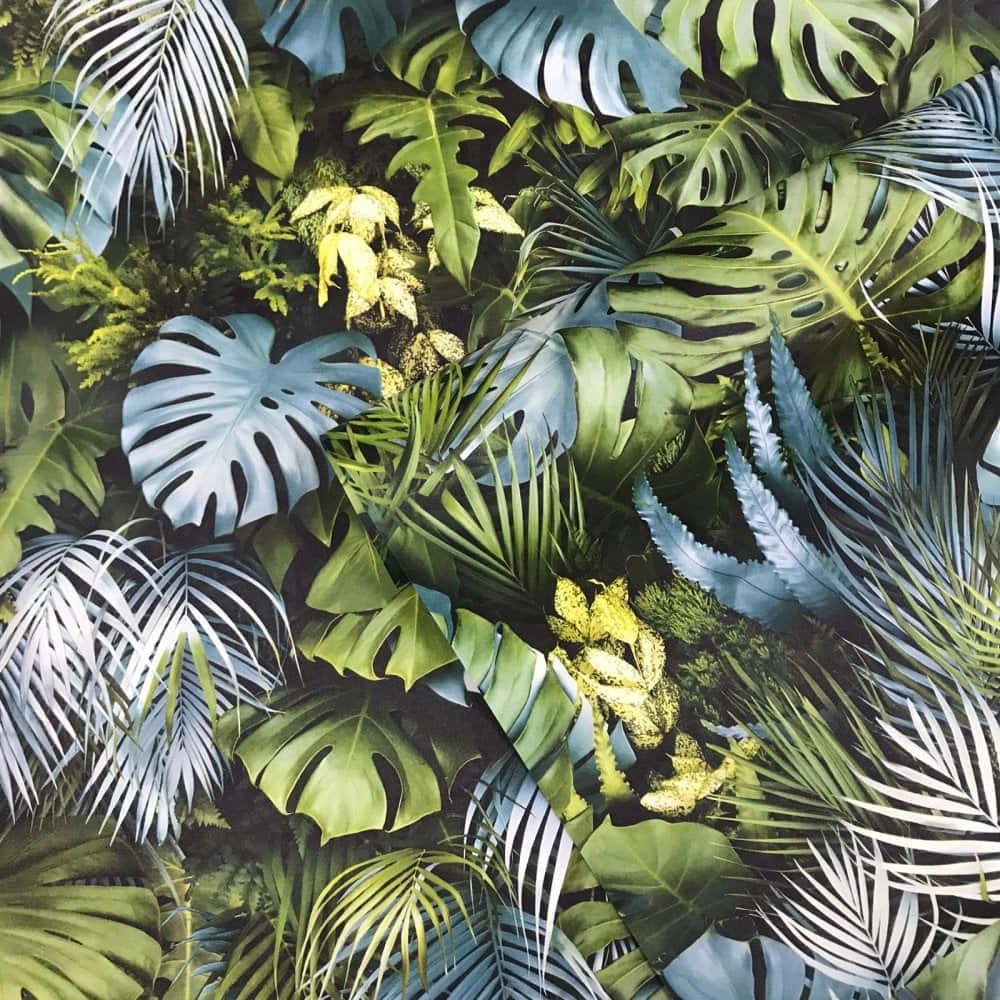 Tropical Leaves 桌布 壁紙 — 一面茂密的熱帶葉牆，有龜背竹和棕櫚葉，呈現鮮豔的綠色和清涼的藍色亮點。