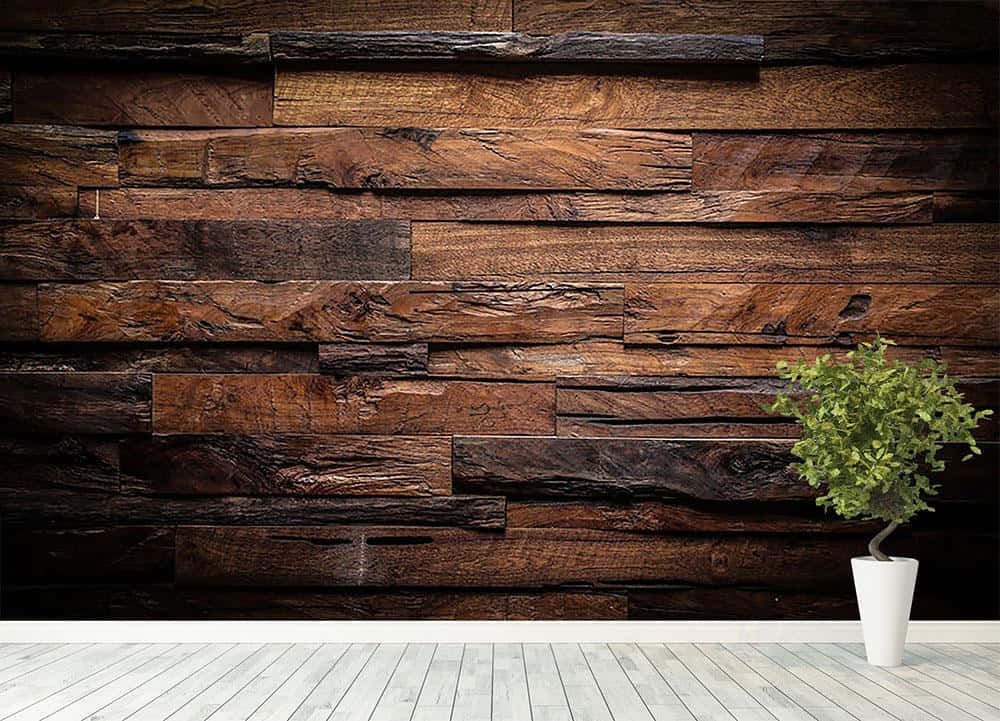 Brown Wood 桌布 壁紙 — 一面質樸的木條板牆，帶有豐富的棕色調，淺色木地板上放著一盆小盆栽植物。