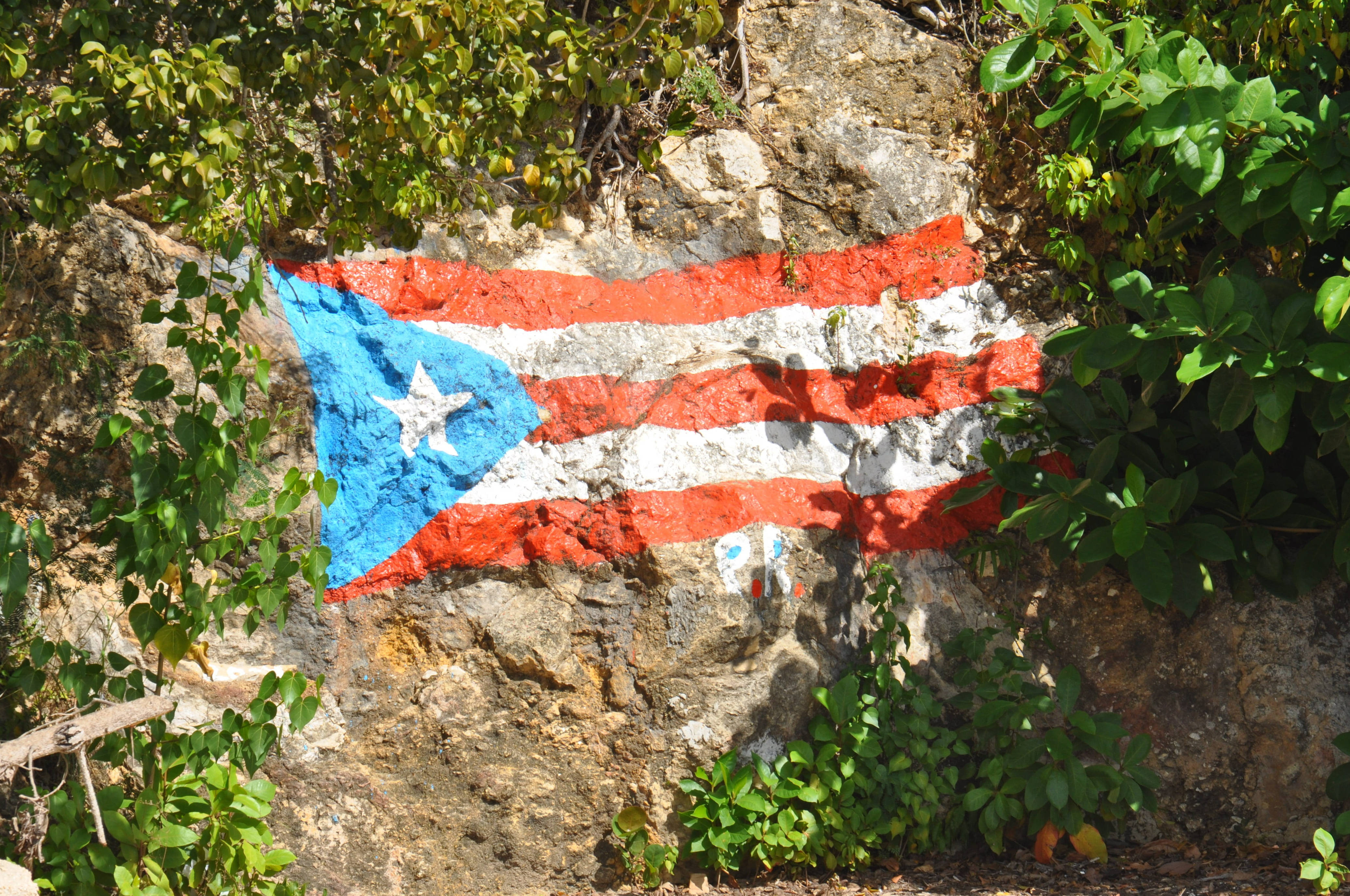 Cuban 桌布 壁紙 — 一面風化的波多黎各旗幟繪在陽光照耀的岩石表面，周圍是茂密的綠色樹葉。
