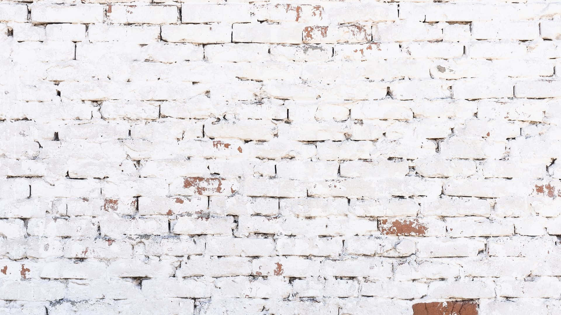 White Brick 桌布 壁紙 — 一面風化的白色磚牆，油漆剝落露出下面的紅磚，形成紋理豐富的城市背景。