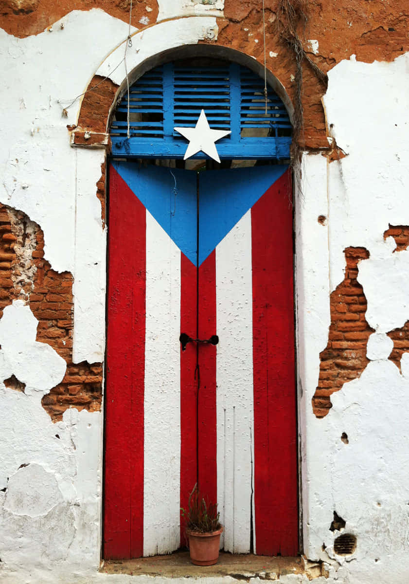 Puerto Rican 桌布 壁紙 — 一面飽經風霜的波多黎各旗幟，繪製在一扇木門上，門嵌在破舊的白牆中，牆上露出磚塊。