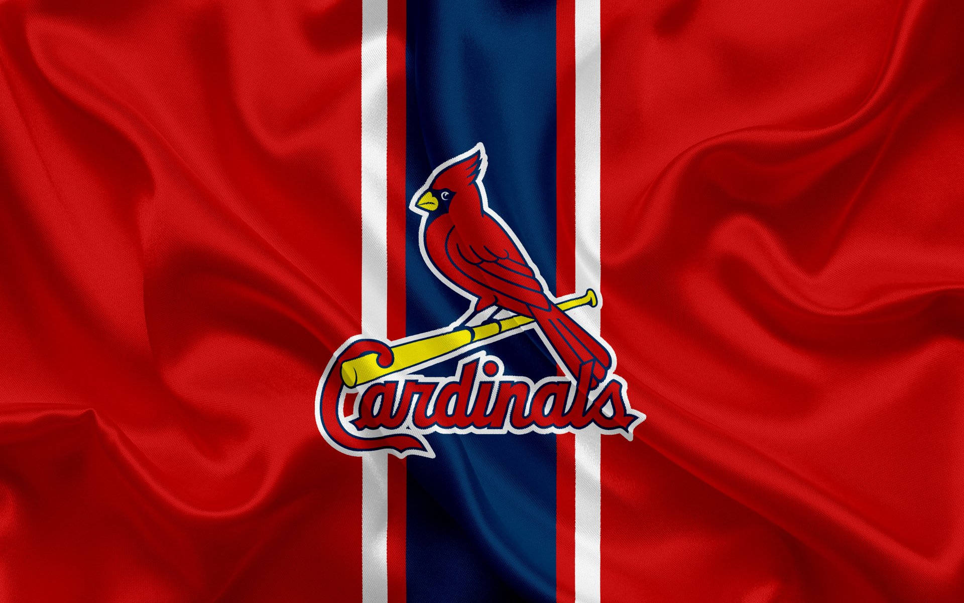 Cardinals 桌布 壁紙 — 一面鮮紅色的緞面旗幟，上面有紅衣主教標誌棲息在蝙蝠上，背景為藍白條紋。