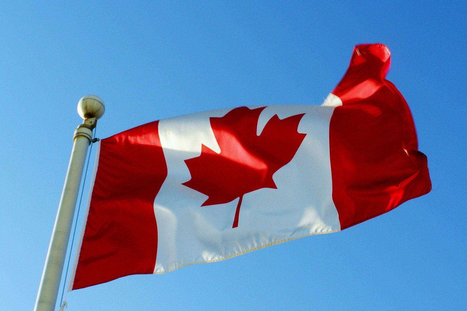 Canada Flag 桌布 壁紙 — 一面鮮豔的加拿大國旗，帶有紅色楓葉，在清澈的藍天下自豪地飄揚。