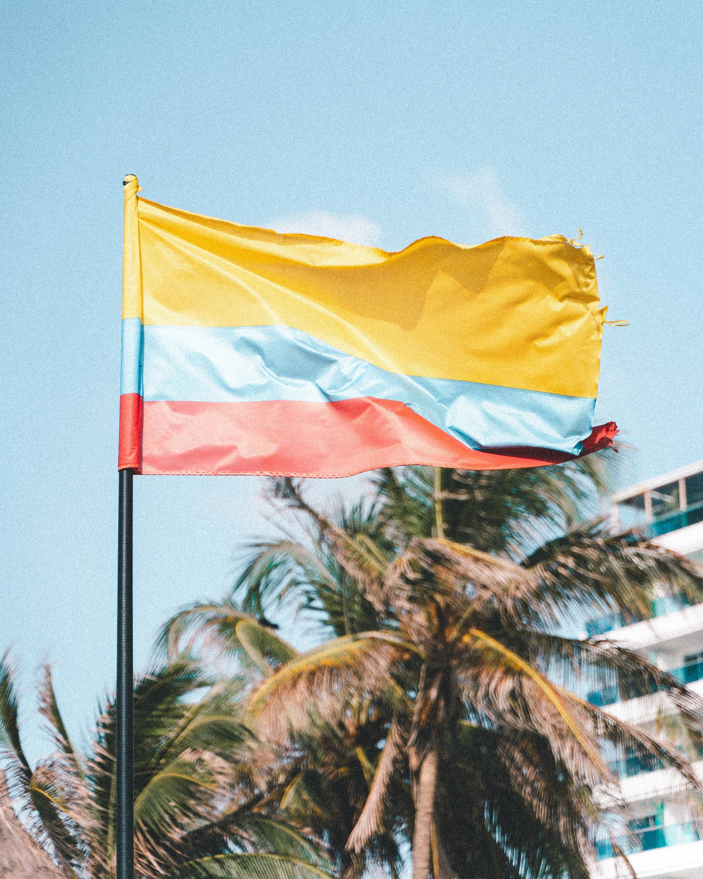 Colombia Flag 桌布 壁紙 — 一面鮮豔的哥倫比亞國旗在晴朗的藍天下驕傲地飄揚，背景有棕櫚樹和建築物。