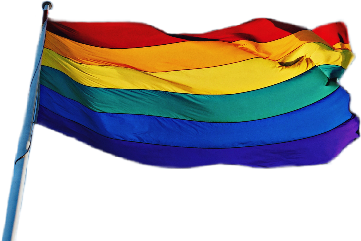 LGBT 桌布 壁紙 — 一面鮮豔的彩虹旗在純黑背景上動態飄揚，其彩色條紋捕捉光線。
