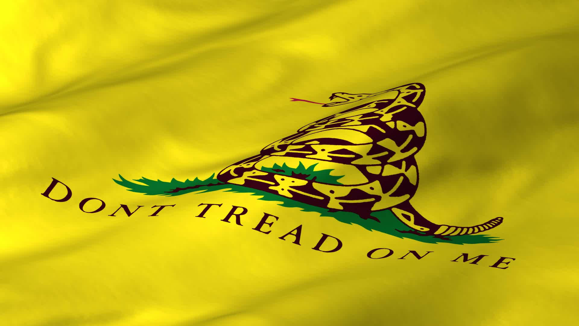 Flag 桌布 壁紙 — 一面鮮黃色的旗幟，上面有盤繞的響尾蛇和粗體文字「DONT TREAD ON ME」，在風中飄揚。