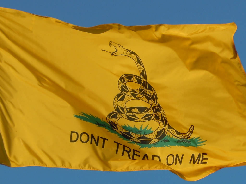 Flag 桌布 壁紙 — 一面黃色的加茲登旗幟，上面有一條盤繞的響尾蛇和「DONT TREAD ON ME」字樣，在清澈的藍天下飄揚。