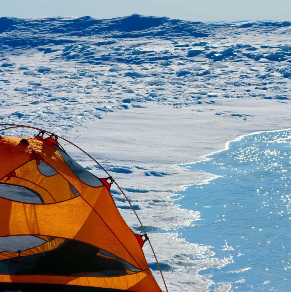 Winter Camping 桌布 壁紙 — 一頂亮橙色的帳篷矗立在雪白的冰面上，旁邊是清澈天空下閃閃發光的藍色海洋。