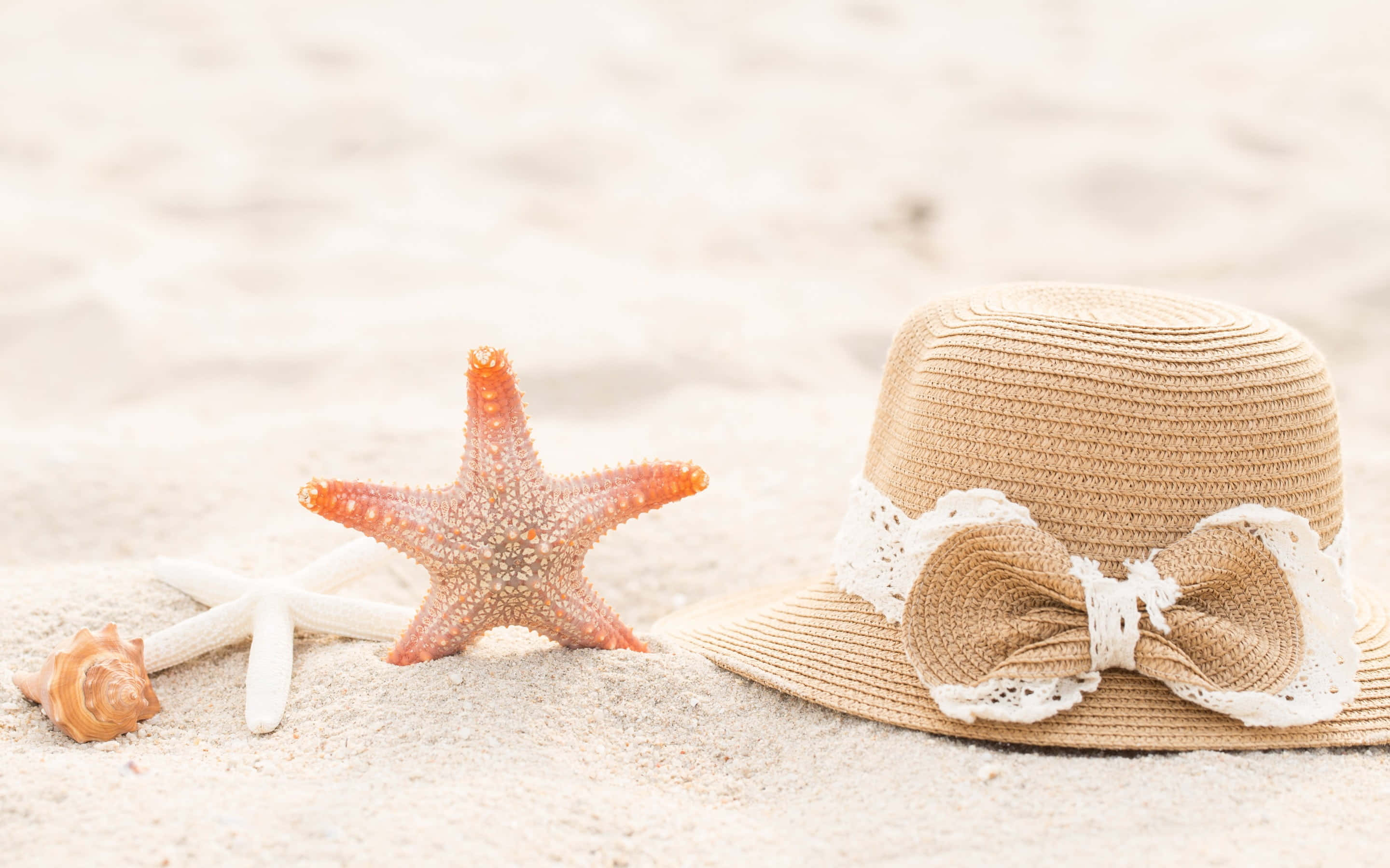 Beach Hat 桌布 壁紙 — 一頂帶蕾絲蝴蝶結的草帽放在柔軟沙灘上，旁邊有一個橙色海星和貝殼。