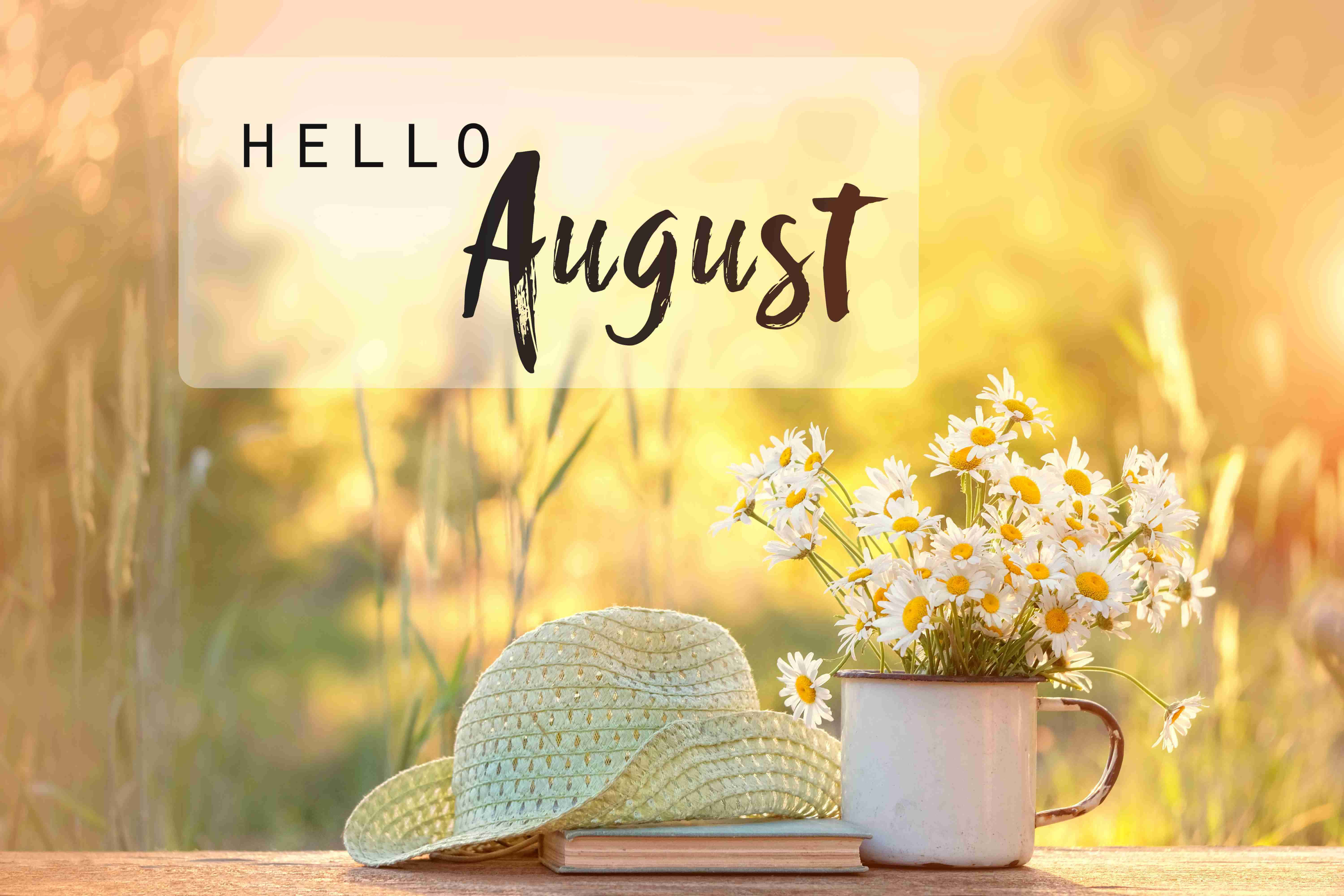 August 桌布 壁紙 — 一頂草帽和雛菊放在馬克杯中，置於木桌上，金色陽光灑滿夏日草地。