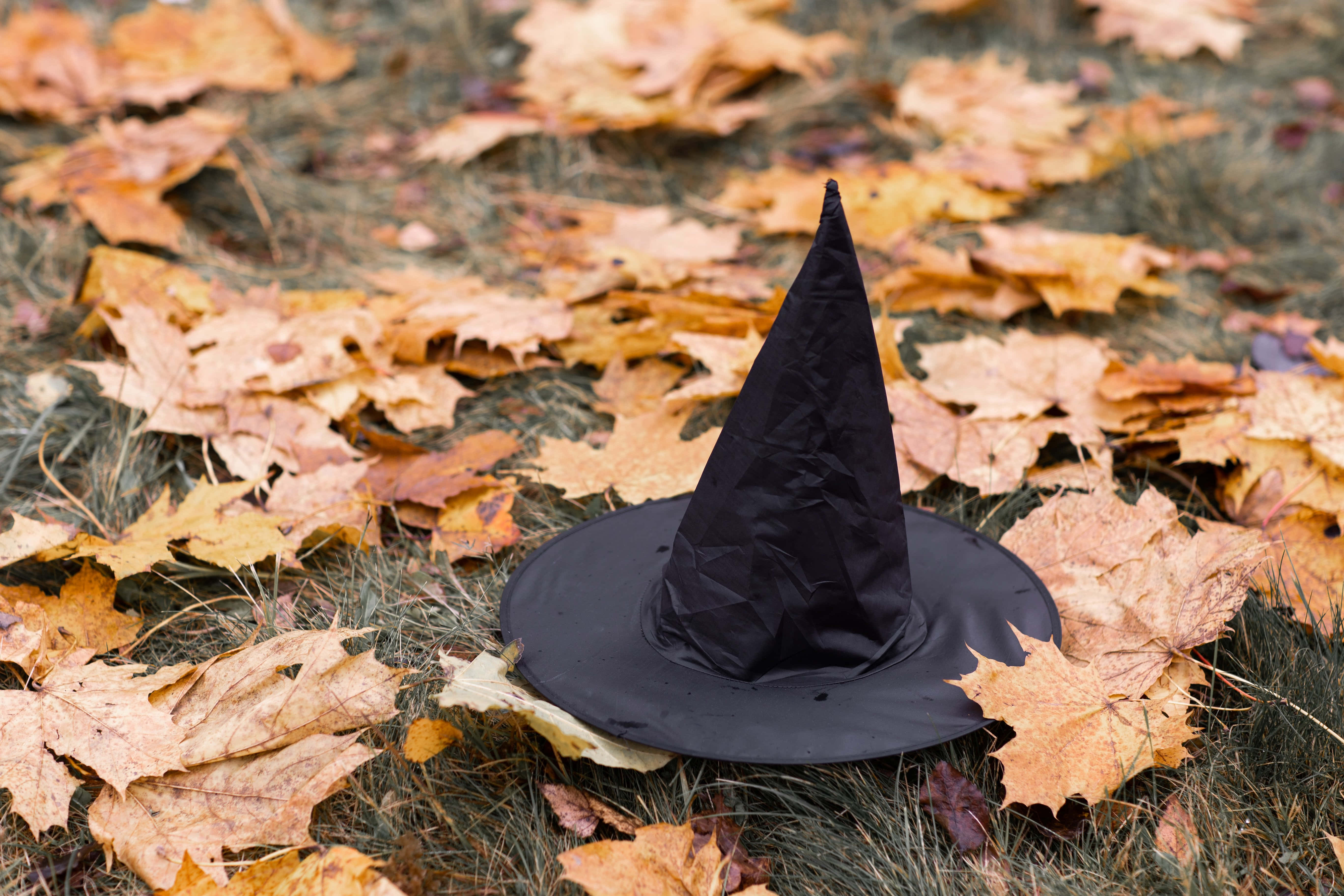 Witch Hats 桌布 壁紙 — 一頂黑色女巫帽放在草地上金黃色落葉之間。