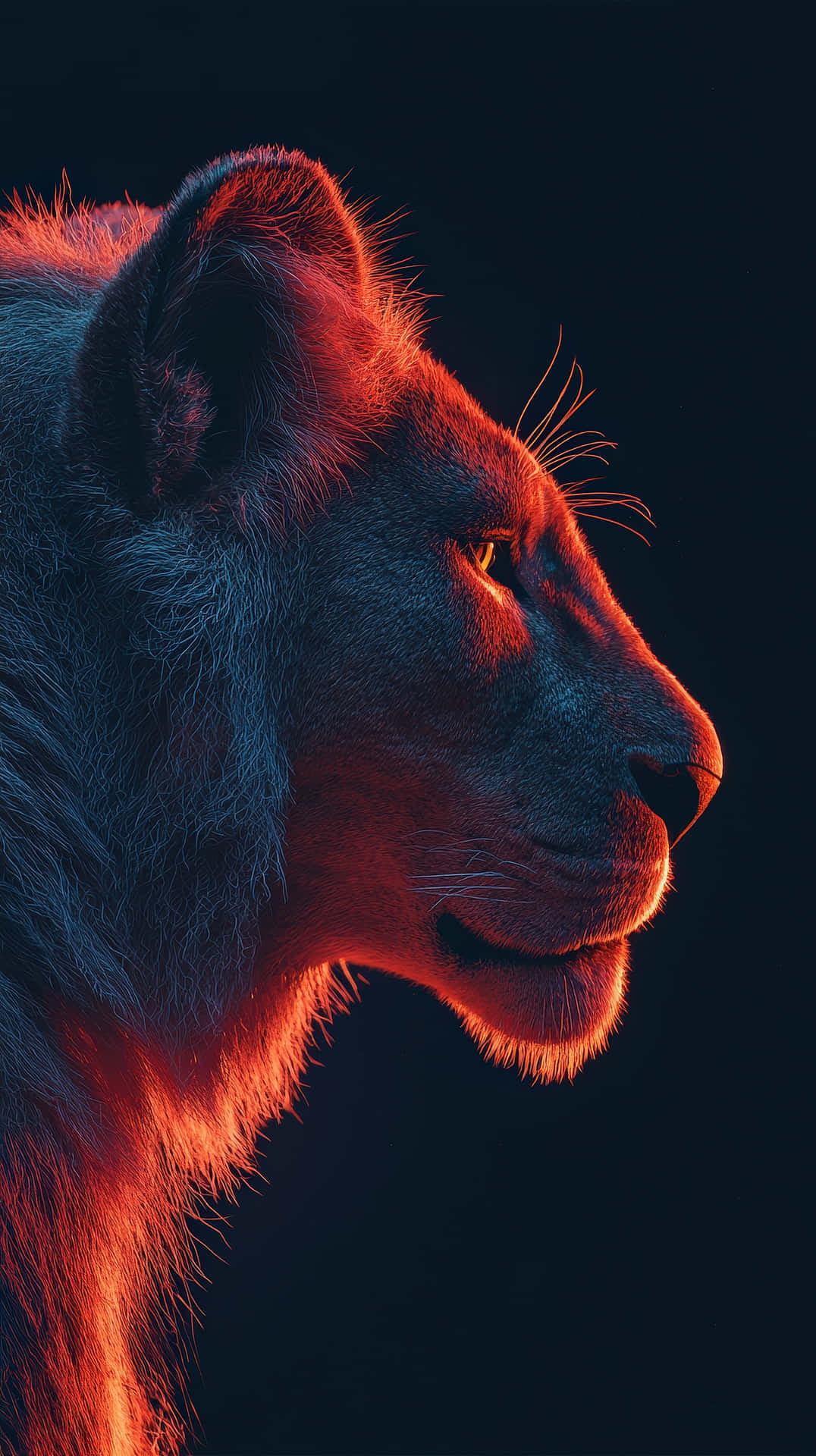 Majestic lion portrait with dramatic red and blue lighting 壁紙 — 一頭側面的母獅沐浴在火紅的光線中，背景是深邃的黑色。