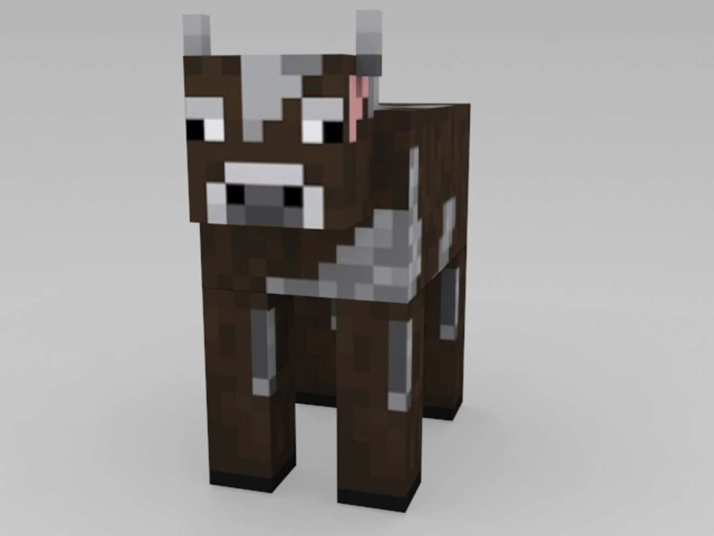 Minecraft Cow 桌布 壁紙 — 一頭像素化的棕白相間的牛站在簡約的攝影棚環境中，光線柔和。