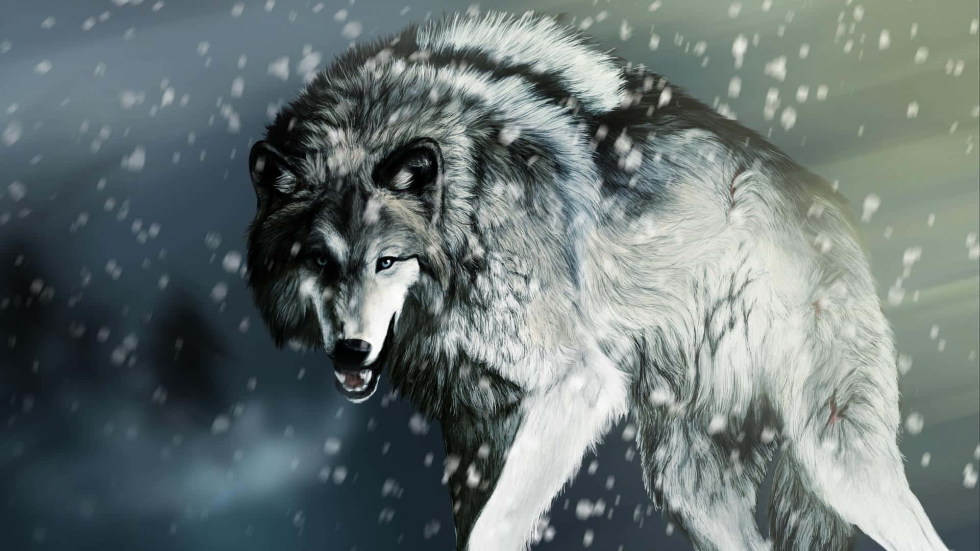 Wolf Attack 桌布 壁紙 — 一頭兇猛的灰狼在暴風雪中大步前行，雪花在其濕漉漉的皮毛周圍旋轉。
