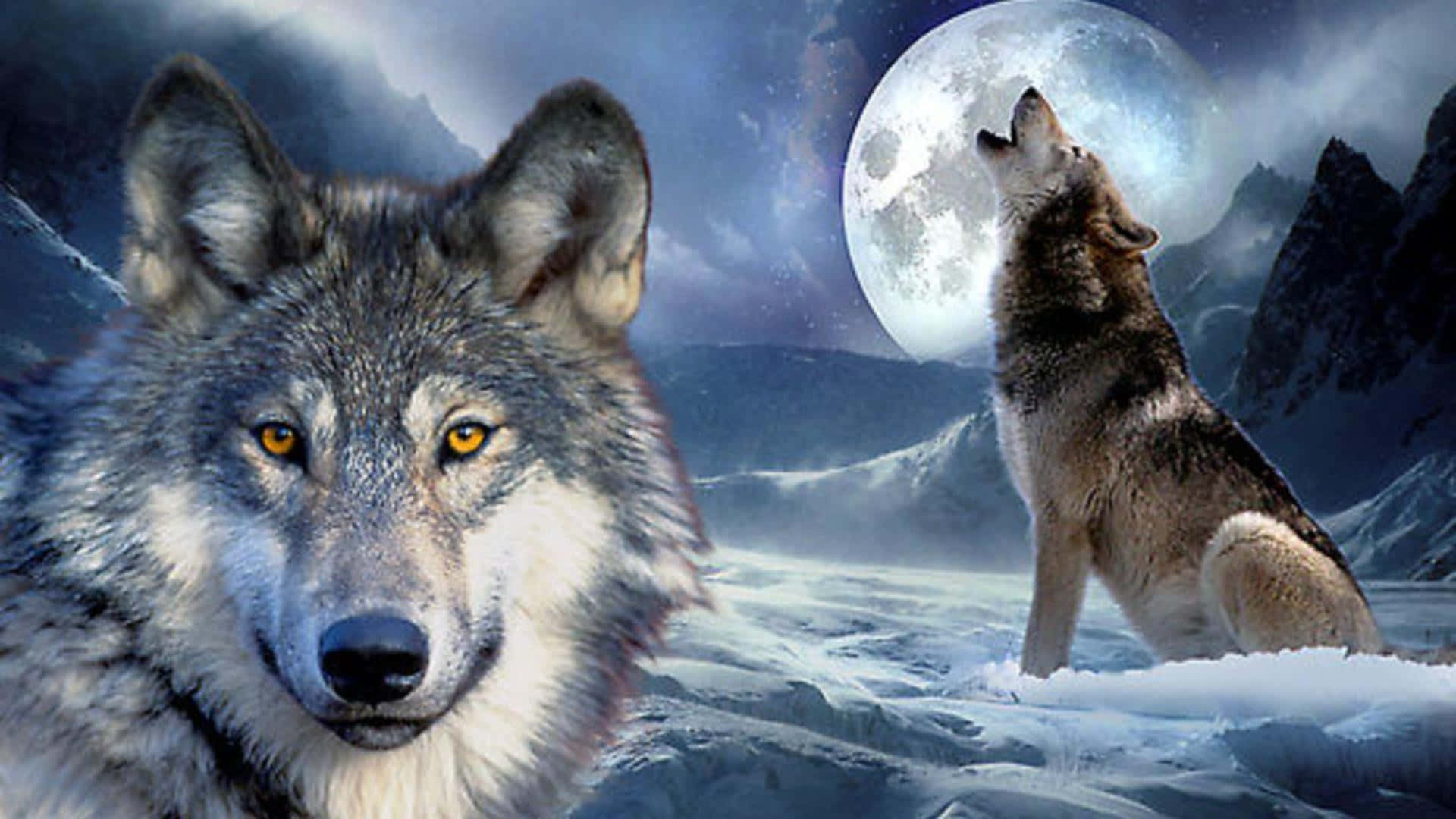 Howling Wolf 桌布 壁紙 — 一頭兇猛的狼向前凝視，另一頭則在星空下對著雪山上空的巨大月亮嚎叫。