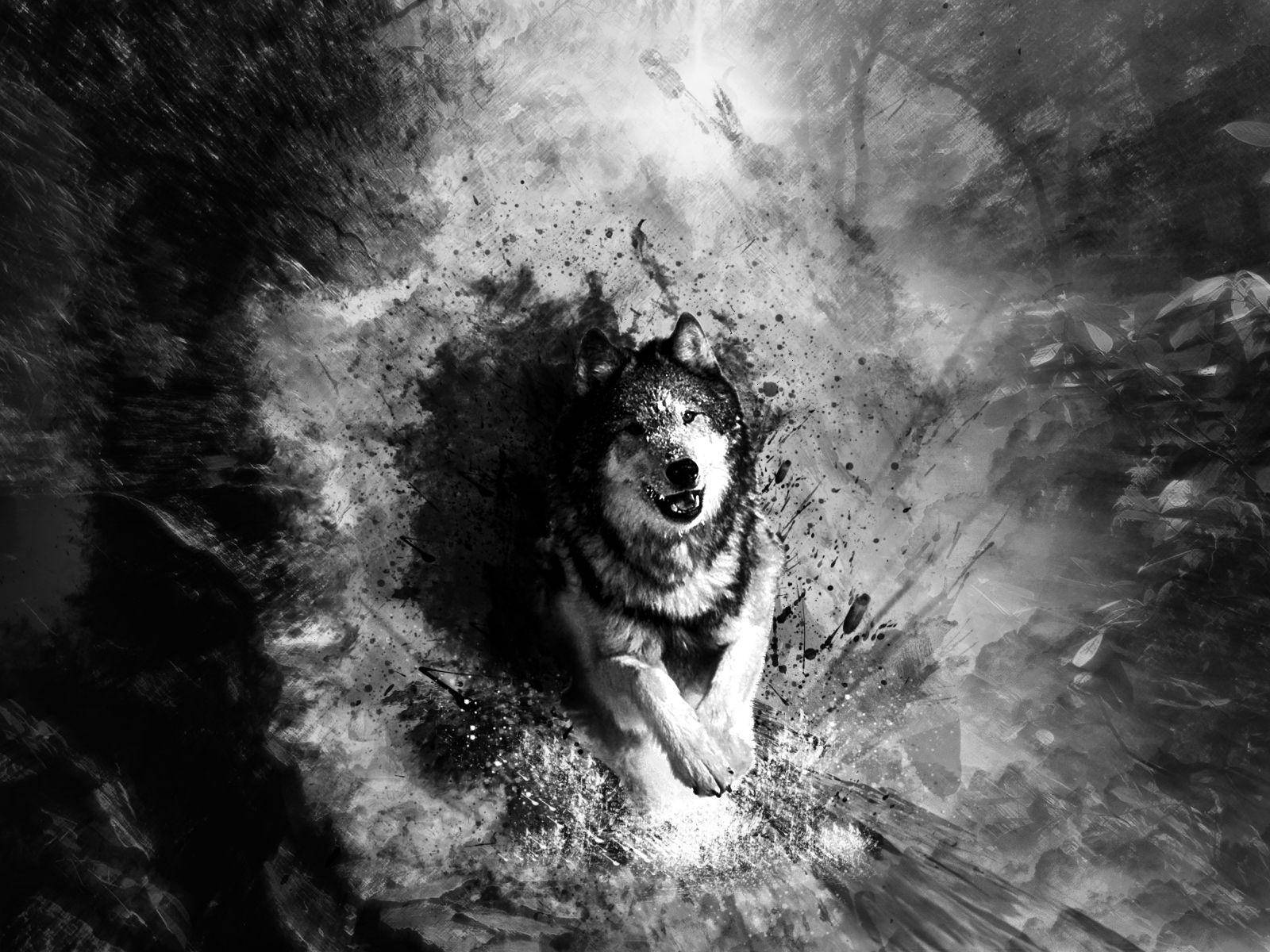 Pain Black And White 桌布 壁紙 — 一頭兇猛的狼從旋轉的黑白墨水飛濺中浮現，背景是黑暗的森林。