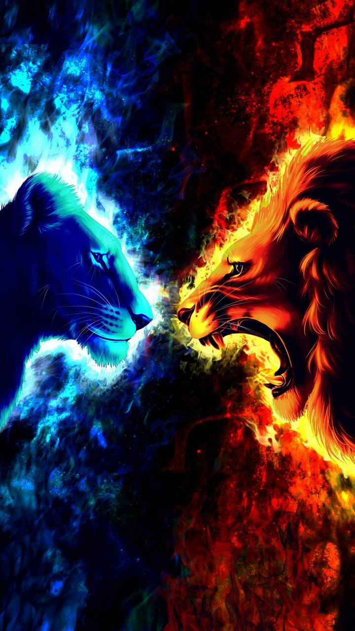 lion roar 桌布 壁紙 — 一頭兇猛的藍色獅子與一頭咆哮的紅色獅子對峙，在冰與火能量的戲劇性宇宙碰撞中。