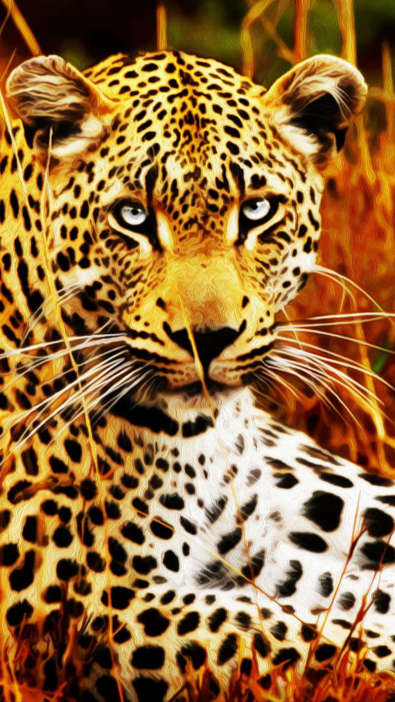Jaguar 桌布 壁紙 — 一頭兇猛的豹子，擁有銳利的藍色眼睛，在溫暖陽光下直視觀眾，身處金色草叢中。