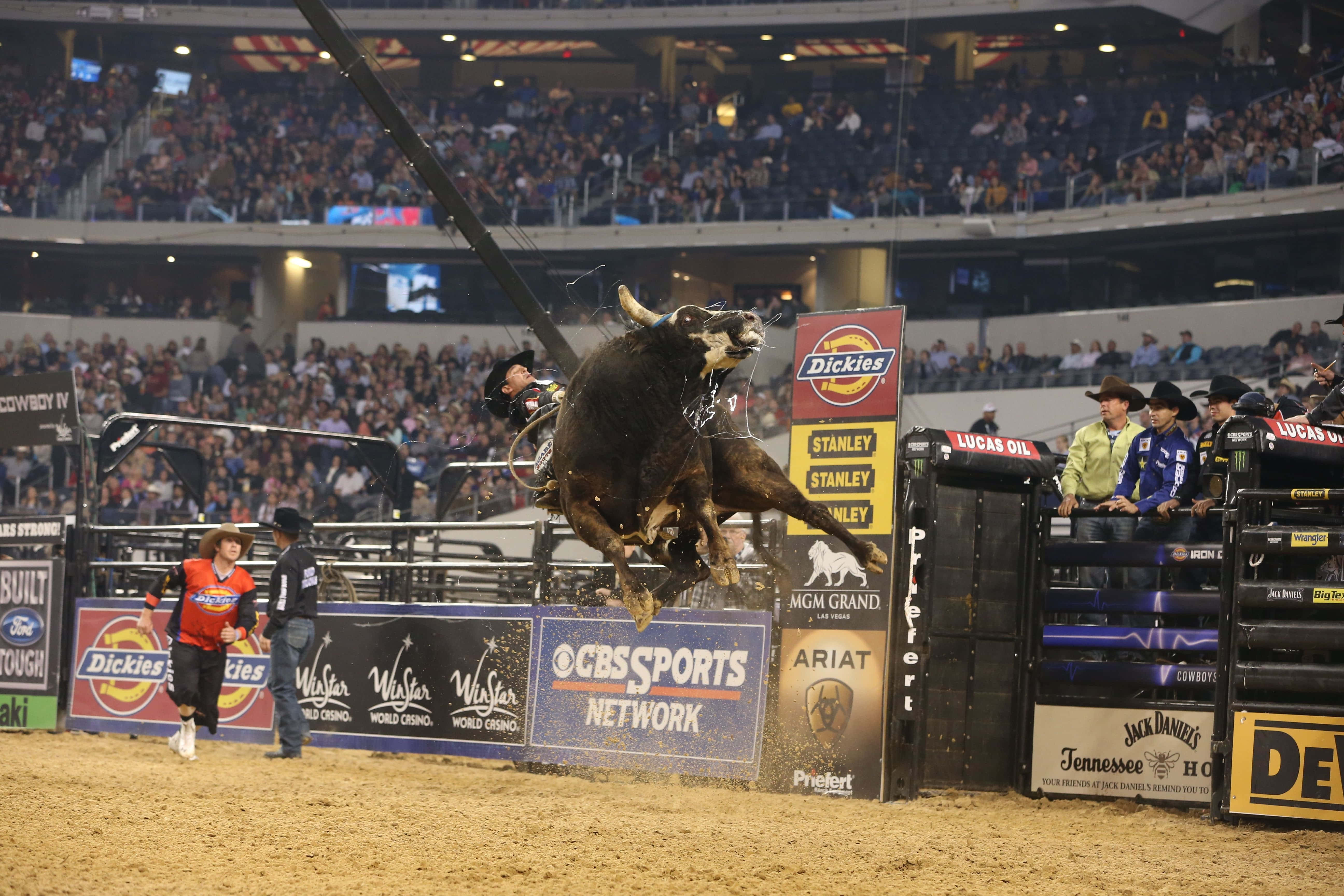 Bull Rider 桌布 壁紙 — 一頭公牛在牛仔競技場上猛烈地弓背跳躍，騎手緊緊抓住，而擠滿看台的觀眾歡呼喝采。