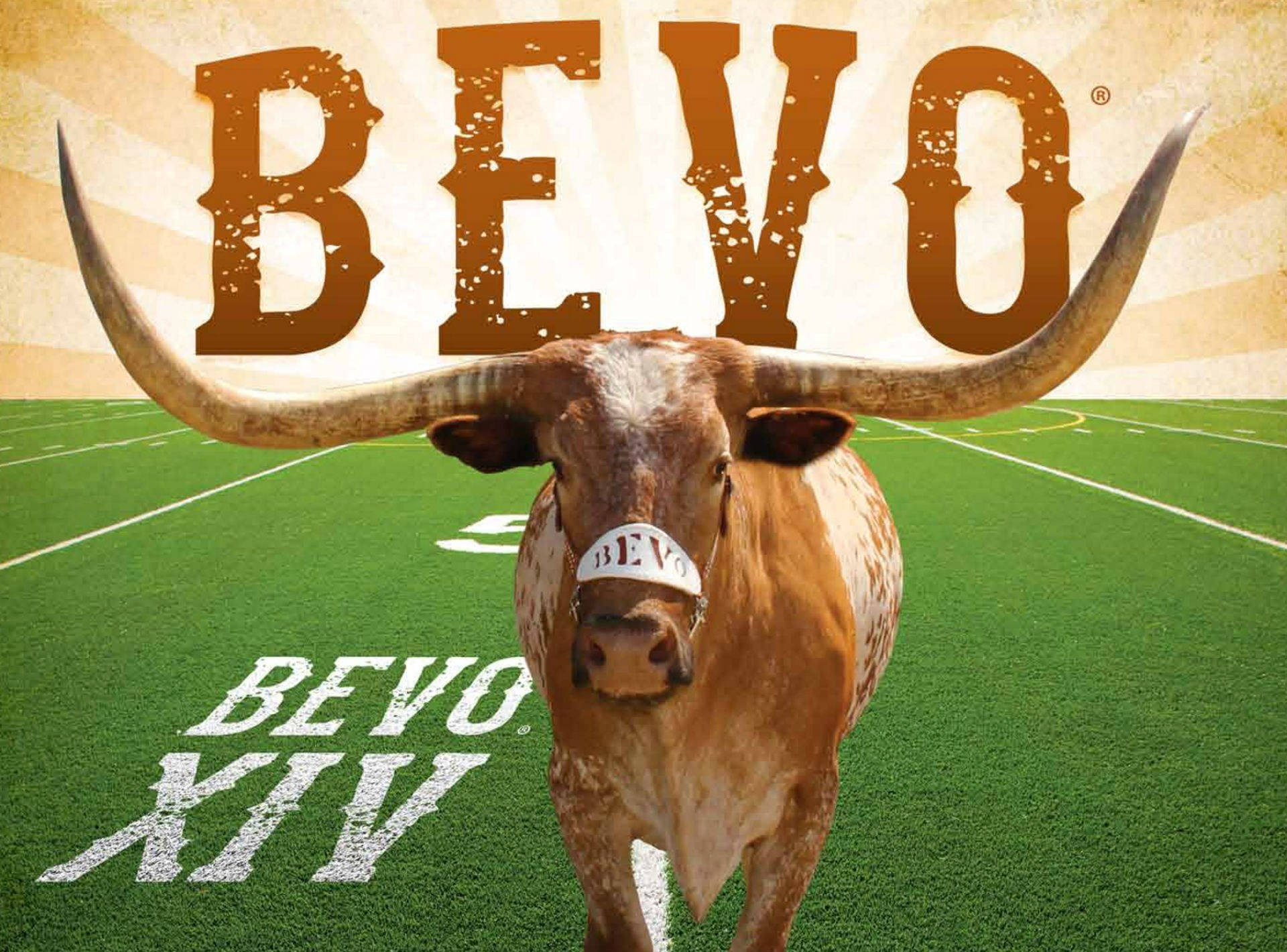 Football Field 桌布 壁紙 — 一頭名為Bevo的長角公牛自豪地站在綠色足球場上，下方塗有'BEVO XIV'字樣，背景是陽光四射。