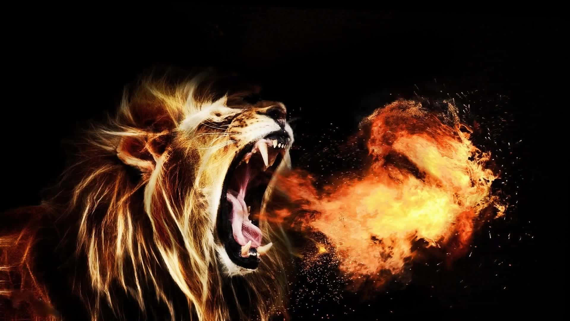獅子 桌布 壁紙 — 一頭咆哮的獅子，帶有火焰般的鬃毛，在黑色背景上釋放出熾熱的火焰爆炸。