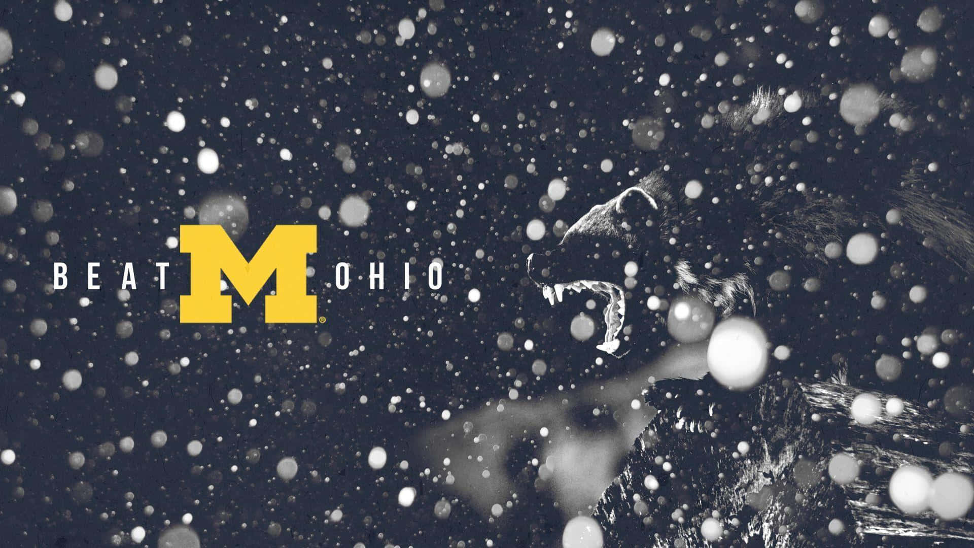 Michigan Football 桌布 壁紙 — 一頭咆哮的獅子剪影從飄落的雪花中浮現，旁邊是醒目的黃色「M」和「BEAT OHIO」文字。