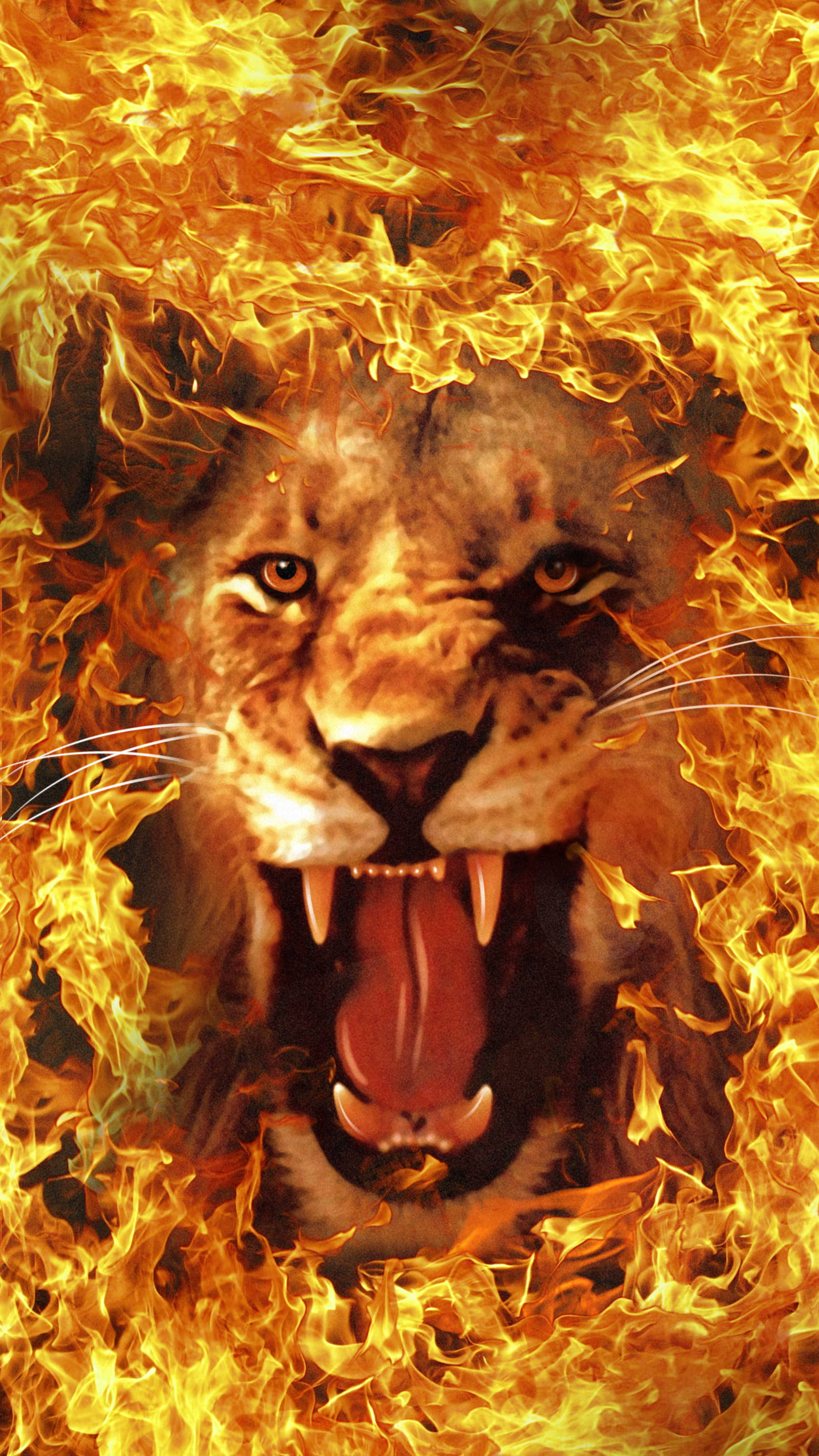 Lion Head 桌布 壁紙 — 一頭咆哮的獅子的兇猛面孔從咆哮的火焰中浮現，眼睛發光，牙齒裸露。