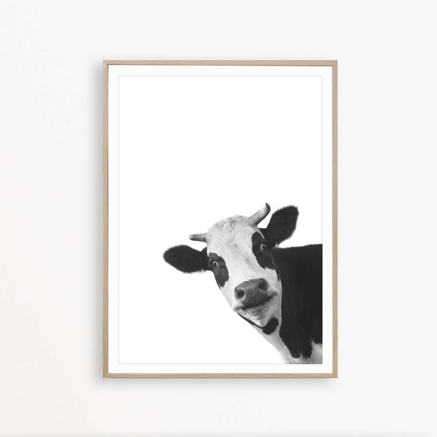 Black And White Cow 桌布 壁紙 — 一頭好奇的牛從右邊探頭，帶著頑皮表情的黑白裱框肖像。