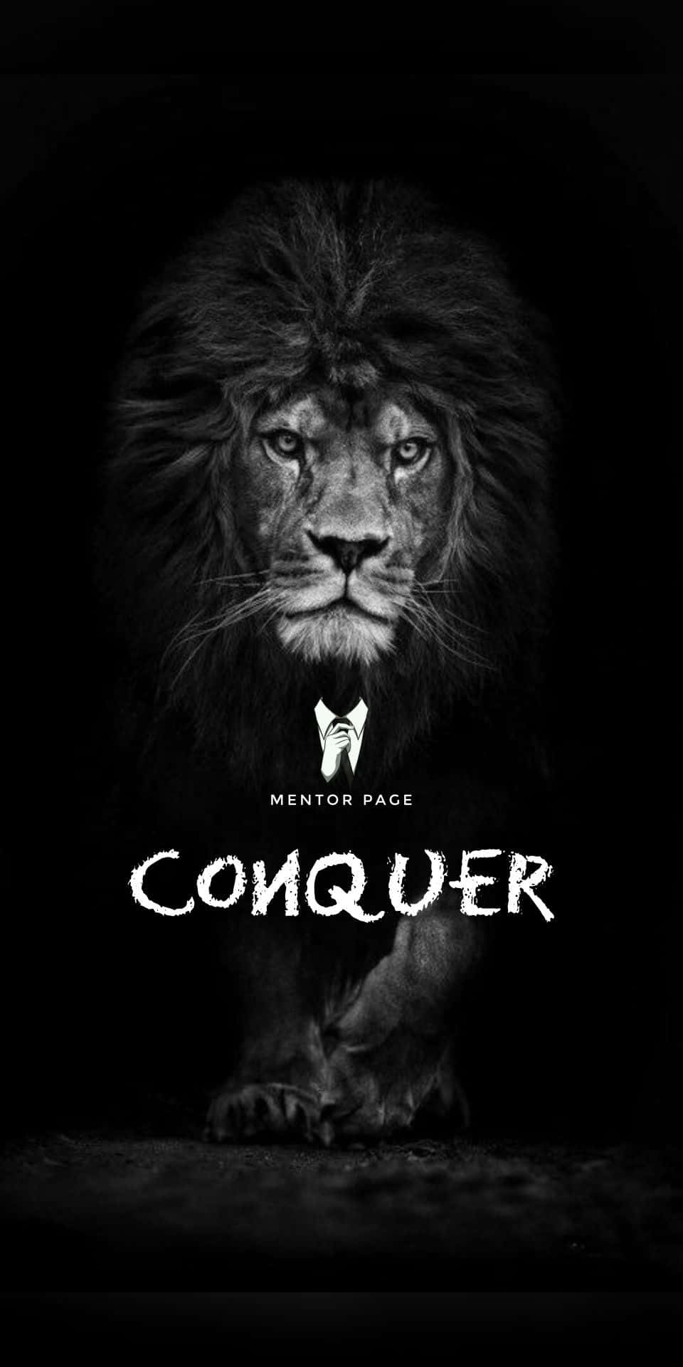 桌布 壁紙 — 一頭威嚴的單色獅子，在深色背景上帶有粗體「CONQUER」文字疊加，強烈地向前凝視。