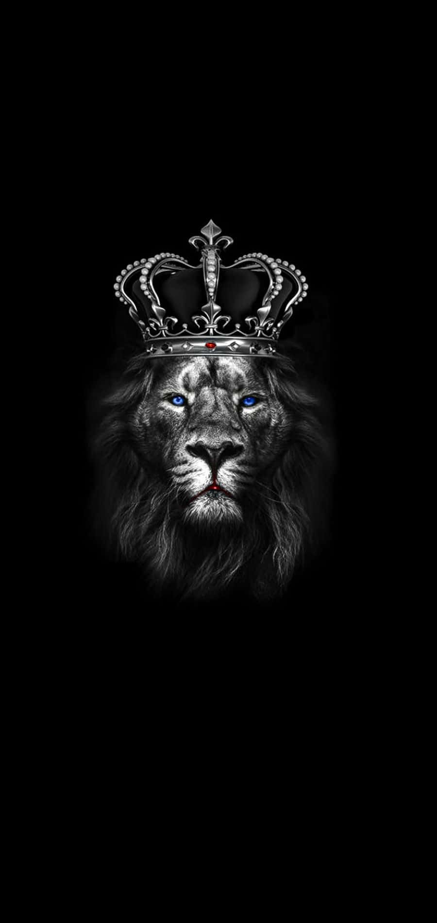 Black Lion 桌布 壁紙 — 一頭威嚴的獅子，擁有銳利的藍色眼睛，在純黑背景下戴著華麗的銀色王冠。