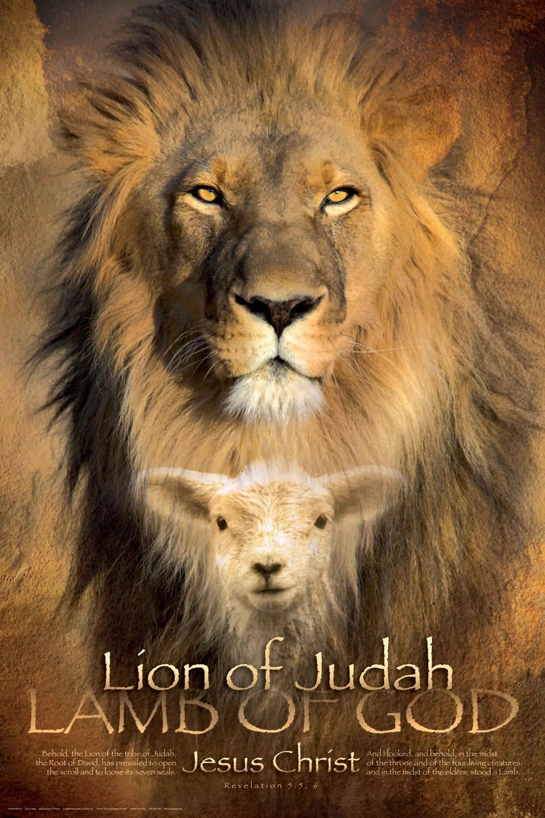 Lion Of Judah 桌布 壁紙 — 一頭威嚴的獅子向前凝視，下方疊加了一隻羔羊，兩者都以溫暖的金色色調呈現在帶有聖經文字的紋理背景上。