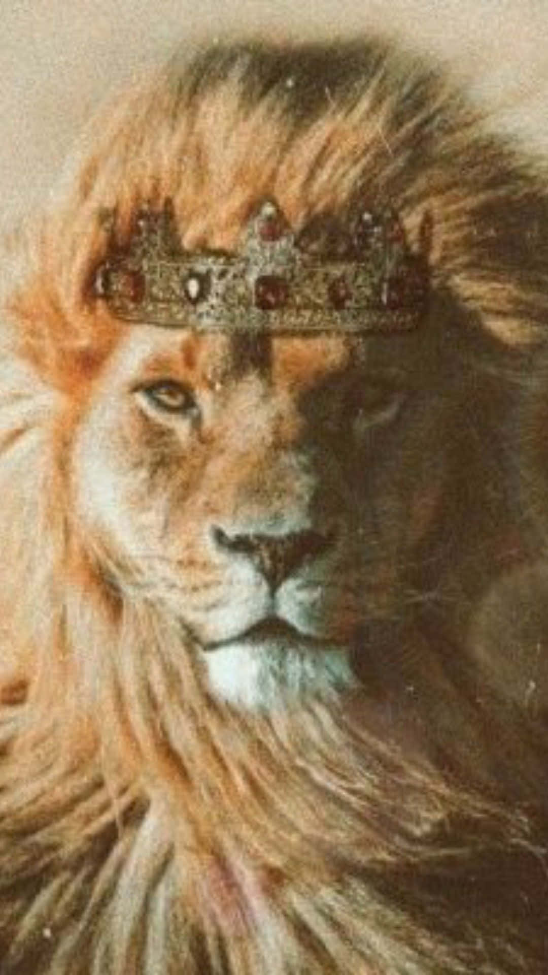 Lion Of Judah 桌布 壁紙 — 一頭威嚴的獅子戴著華麗的寶石王冠，在柔和模糊的背景前凝視著。