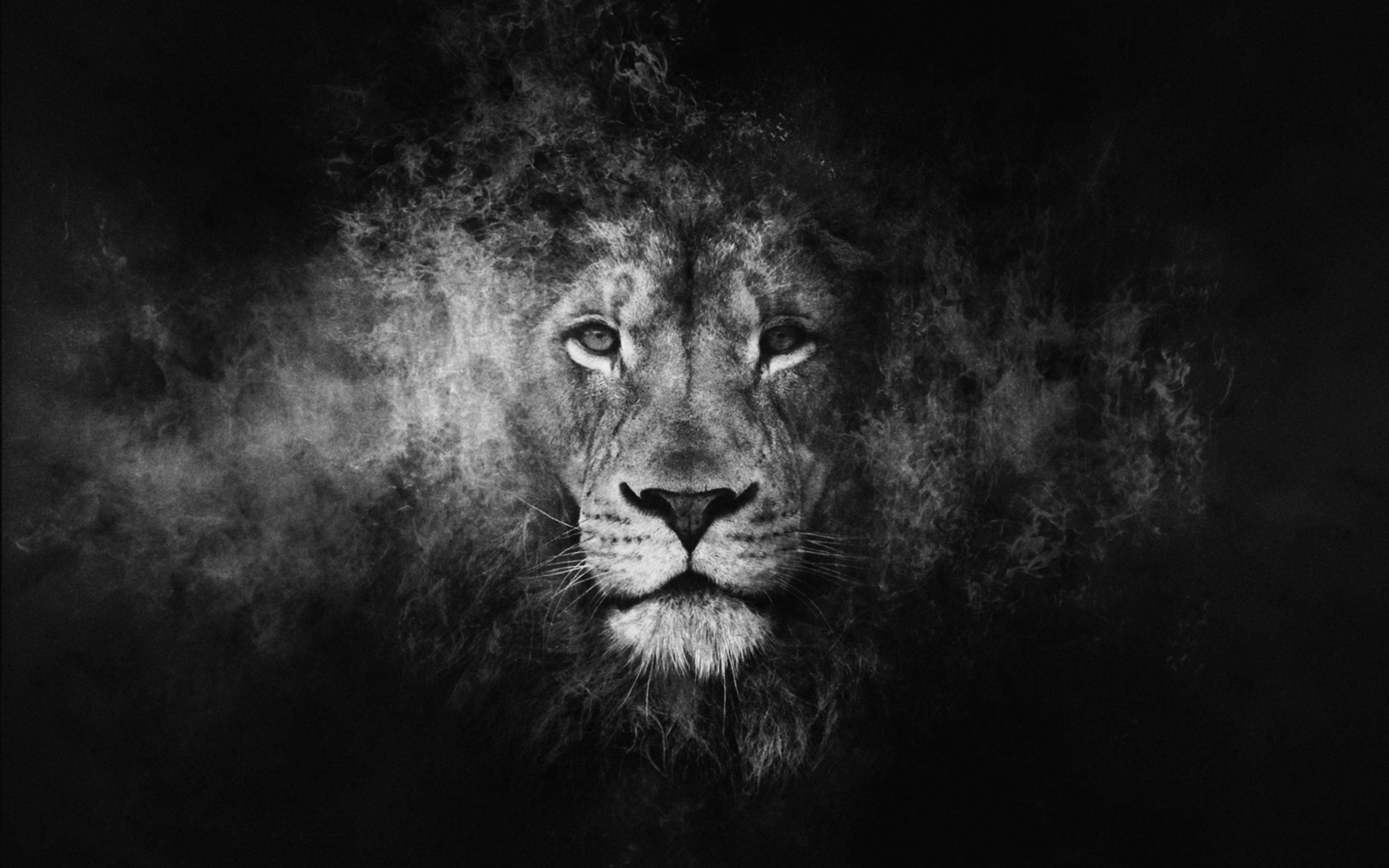 Cool Lion 桌布 壁紙 — 一頭威嚴的獅子臉從旋轉的煙霧中浮現，背景是單色的純黑色。