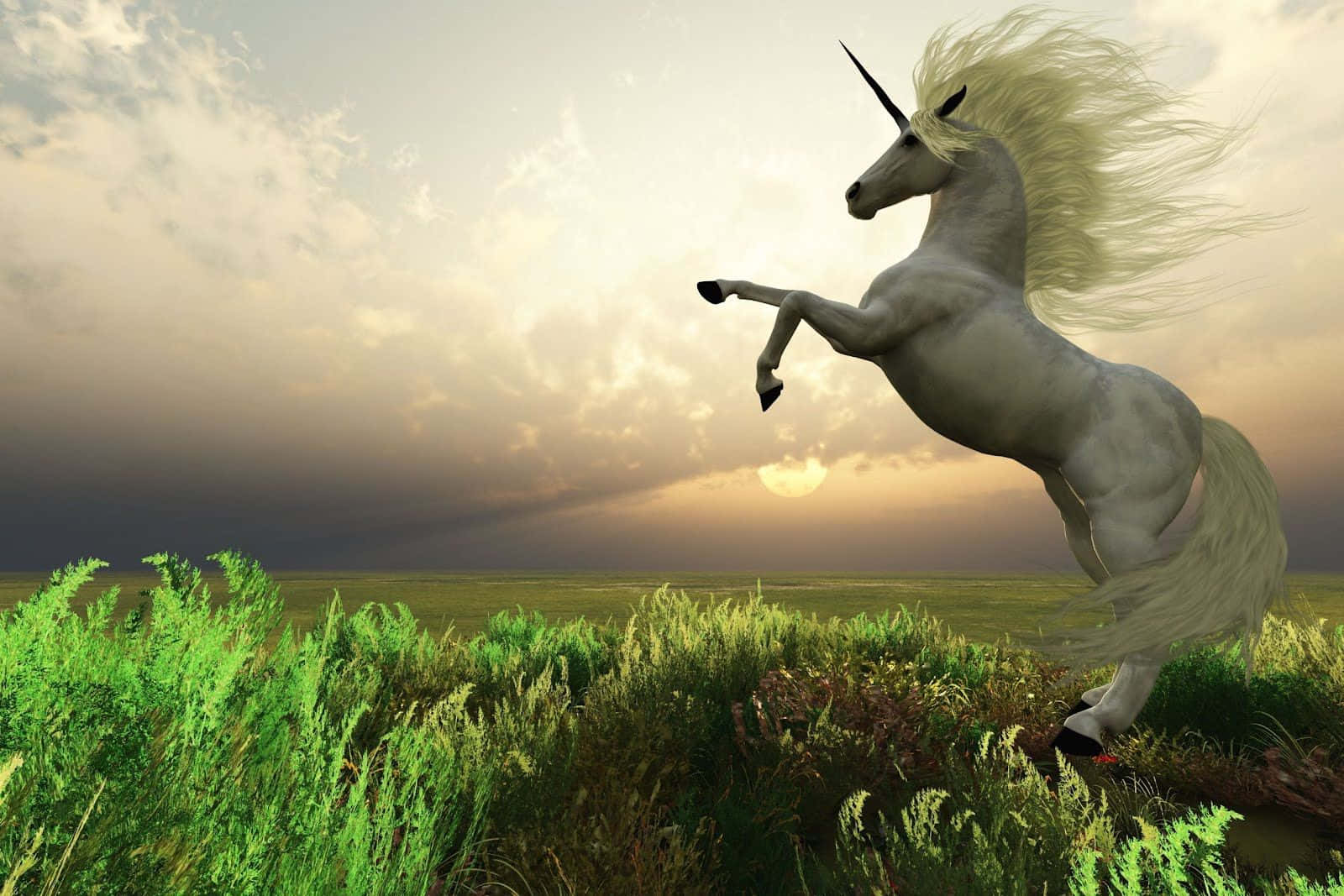 Real Unicorn 桌布 壁紙 — 一頭威嚴的白色獨角獸在陽光照耀的田野中騰躍，金色光芒穿透上方的暴風雲層。