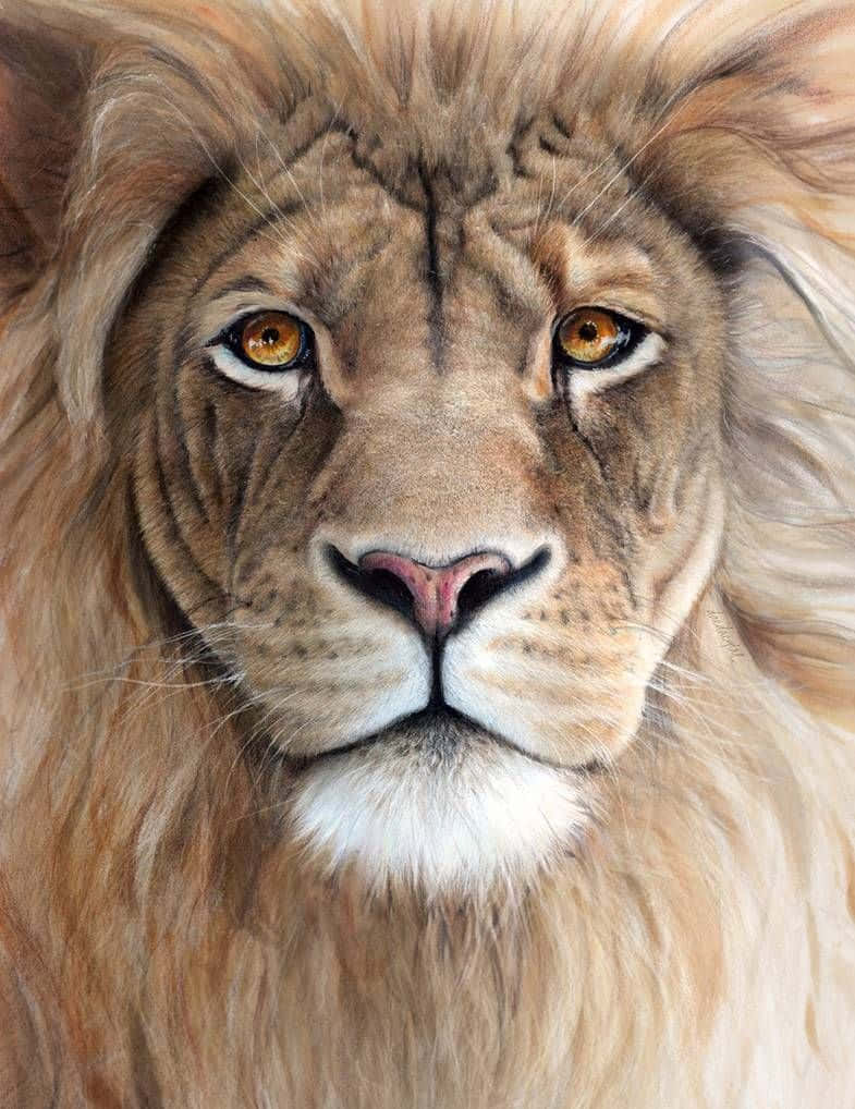 Lion Head 桌布 壁紙 — 一頭威嚴的雄獅，擁有金色的眼睛和濃密的鬃毛，在詳細的特寫肖像中強烈地凝視前方。