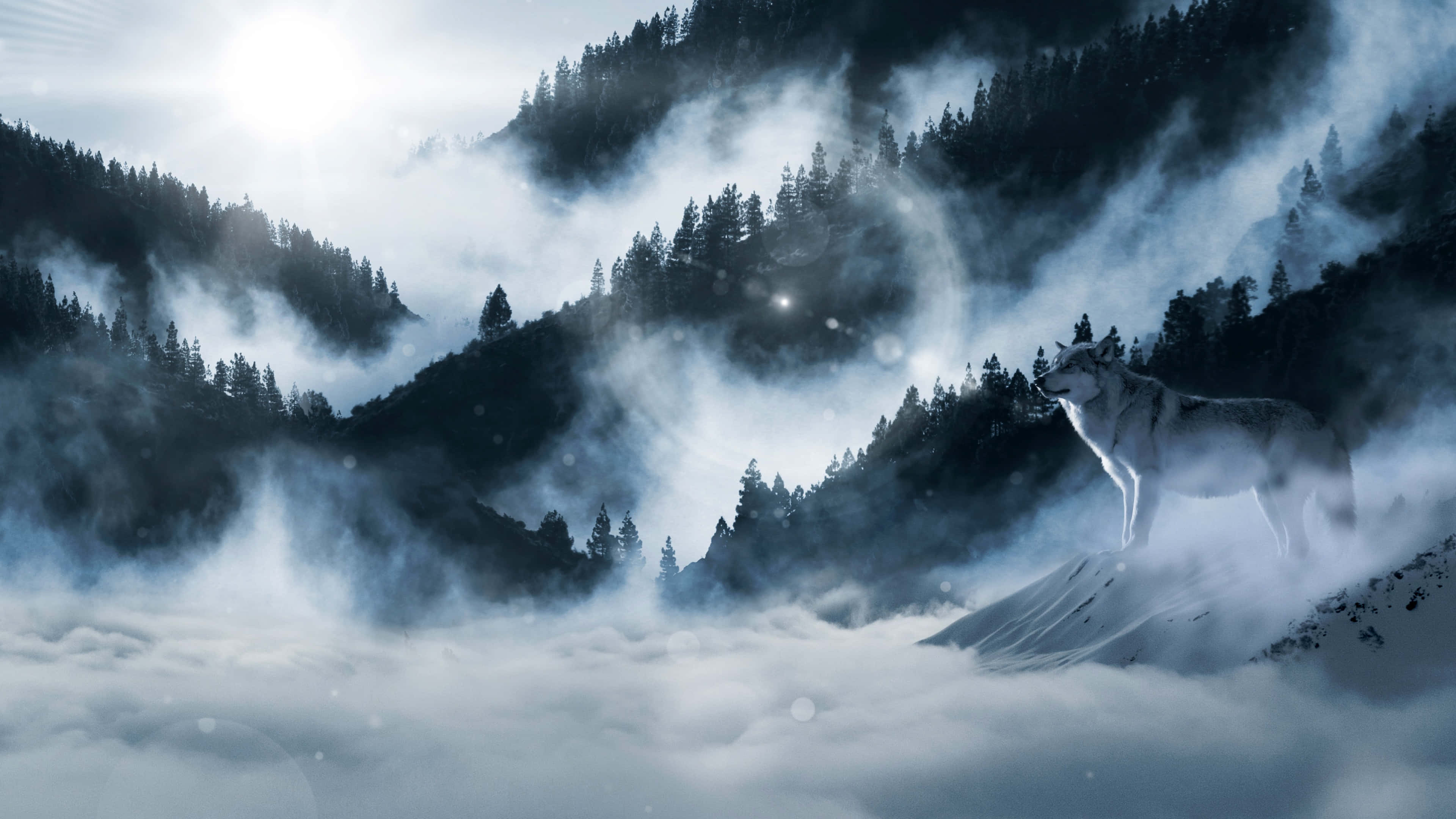 Wolf In Forest 桌布 壁紙 — 一頭孤狼站在白雪覆蓋的山峰上，穿過旋轉的迷霧，下方山坡上松樹林依附著。