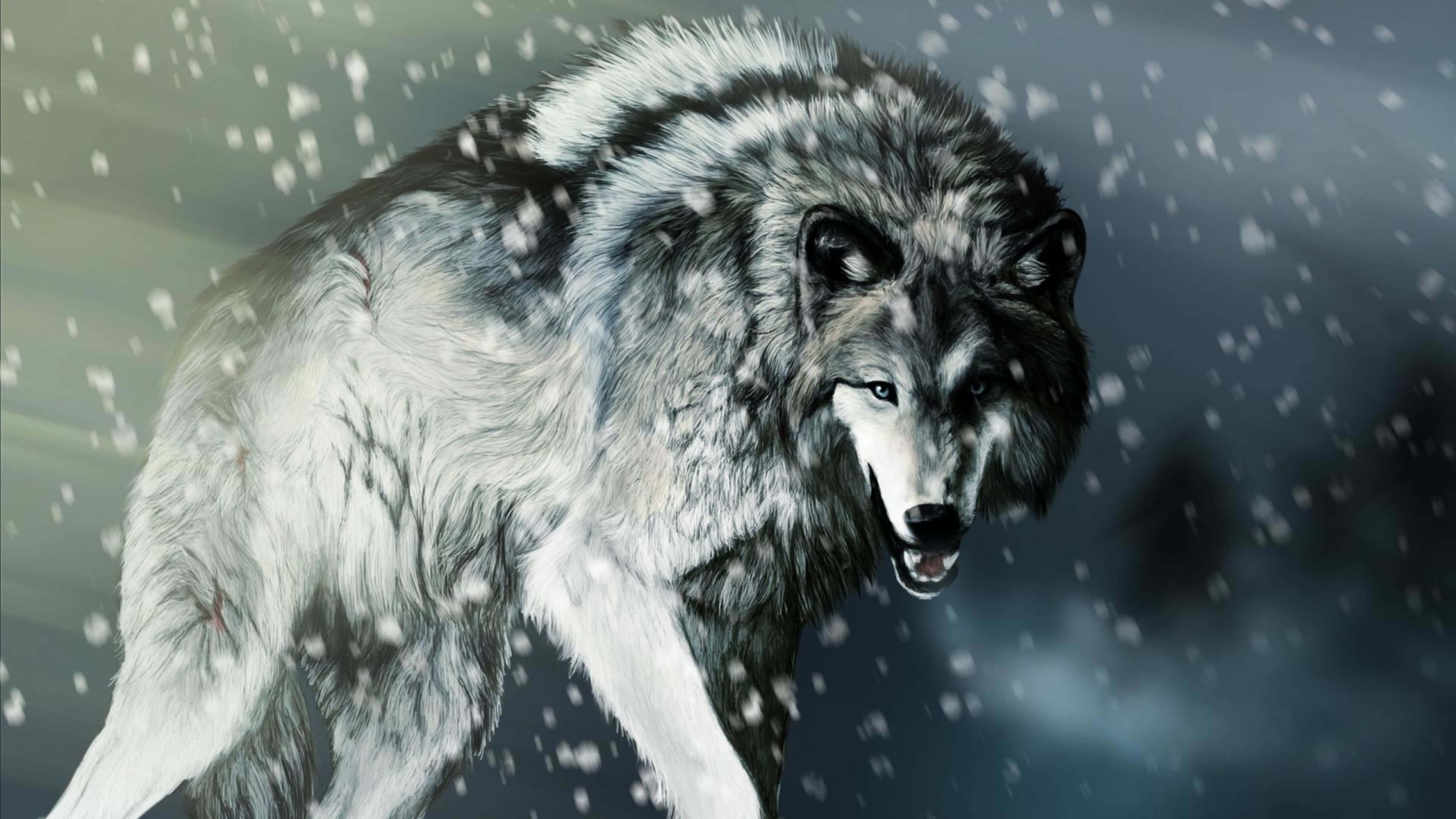 Dire Wolf 桌布 壁紙 — 一頭帶有白色斑紋的兇猛灰狼在黑暗暴風雨的天空下，踏著飄落的雪花前行。