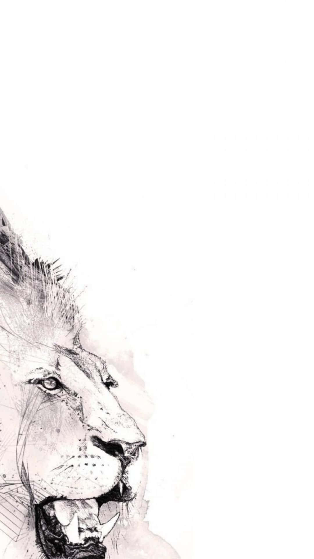 Watercolor 桌布 壁紙 — 一頭強而有力的獅子側面頭像，露出尖銳牙齒咆哮，以粗糙的素描風格繪於純白背景上。