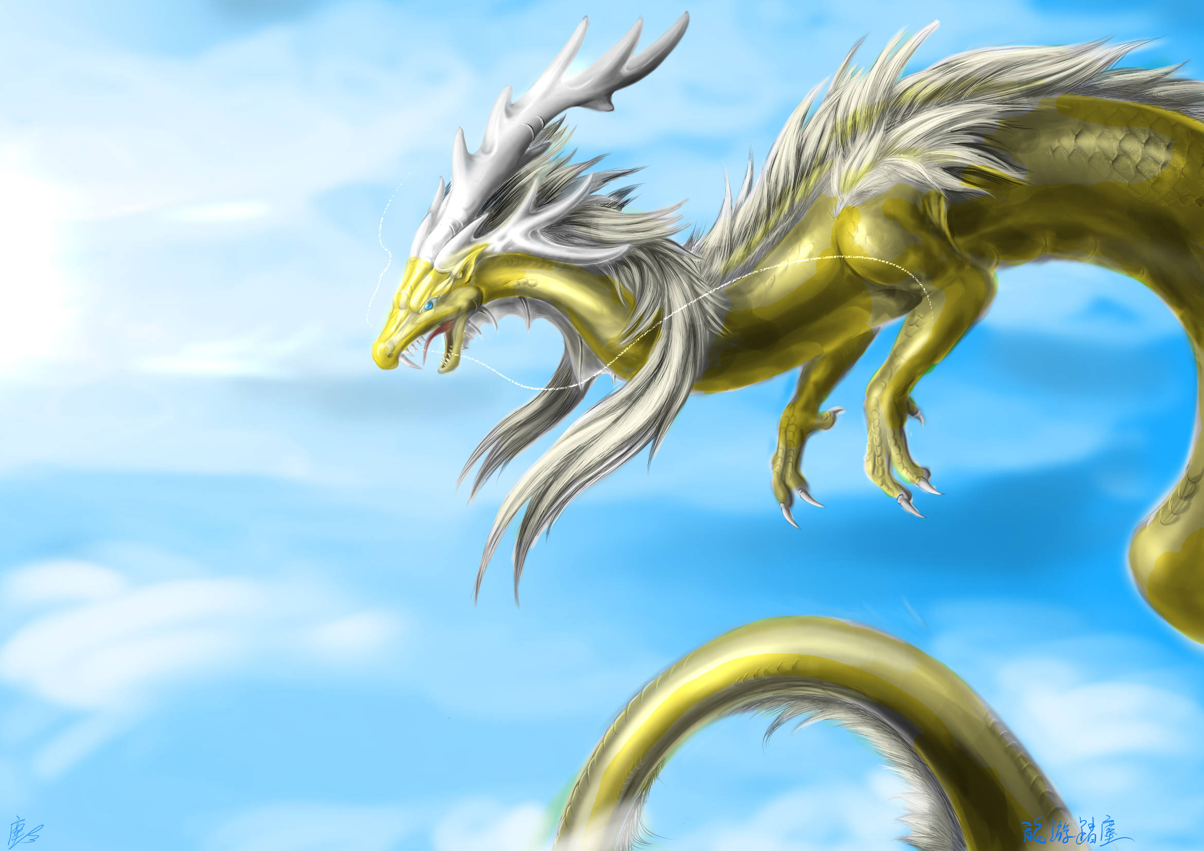 Gold Dragon 桌布 壁紙 — 一頭擁有白色鬃毛的雄偉金龍，翱翔在點綴著蓬鬆雲朵的明亮藍天中。