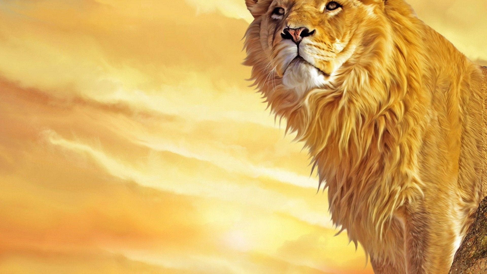 獅子 桌布 壁紙 — 一頭擁有豐滿金色鬃毛的雄獅，在溫暖的夕陽天空下向前凝視，天空充滿柔和的橙色和黃色雲彩。